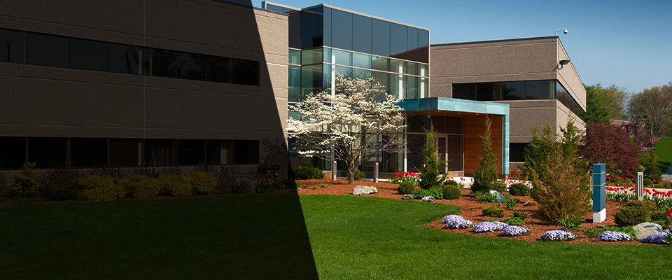 Bridgeton Landscapers